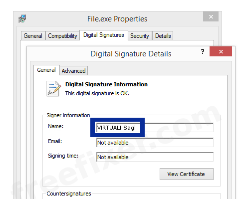 Screenshot of the VIRTUALI Sagl certificate